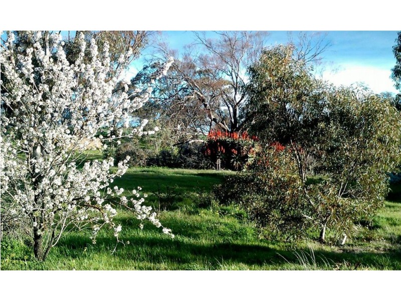 Lot 501 Tablelands Road St Kitts via, Truro SA 5356