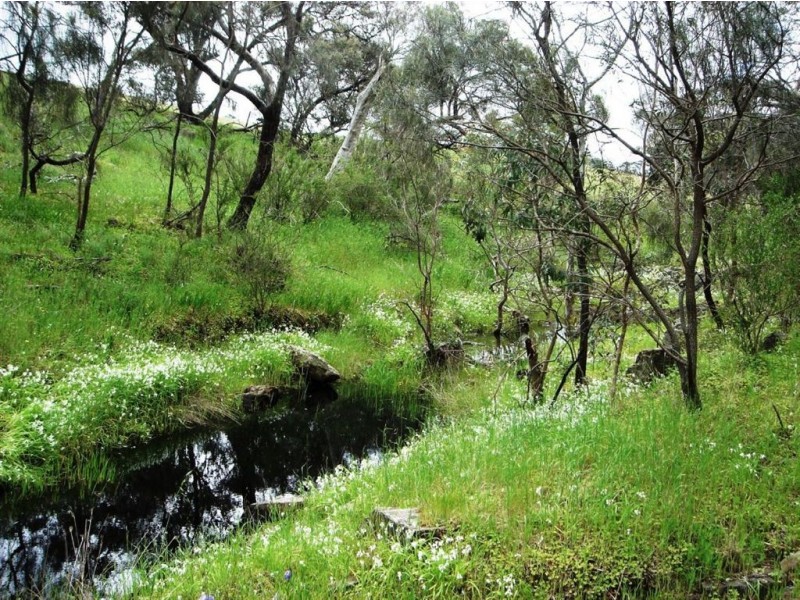 Lot 501 Tablelands Road St Kitts via, Truro SA 5356