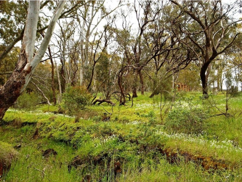 Lot 501 Tablelands Road St Kitts via, Truro SA 5356