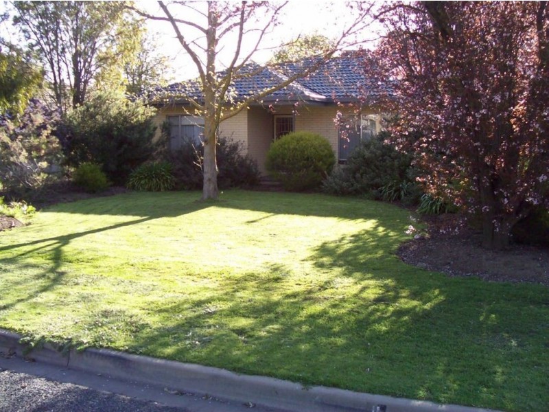 11 Krieg Street, Nuriootpa SA 5355