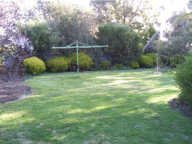 11 Krieg Street, Nuriootpa SA 5355