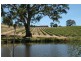 Lot 15 Rhine Park Road, Eden Valley SA 5235