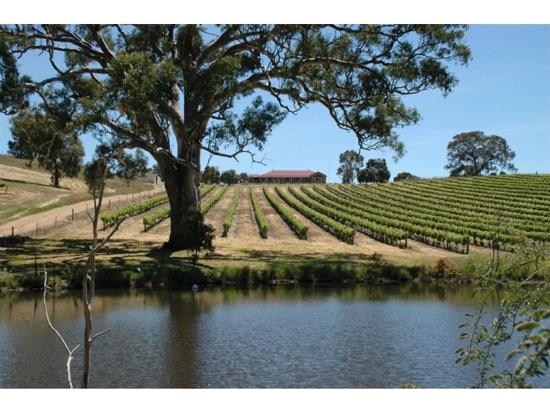 Lot 15 Rhine Park Road, Eden Valley SA 5235