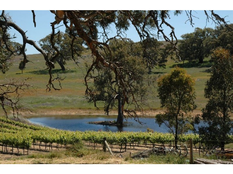 Lot 15 Rhine Park Road, Eden Valley SA 5235