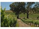 Lot 15 Rhine Park Road, Eden Valley SA 5235