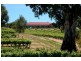 Lot 15 Rhine Park Road, Eden Valley SA 5235