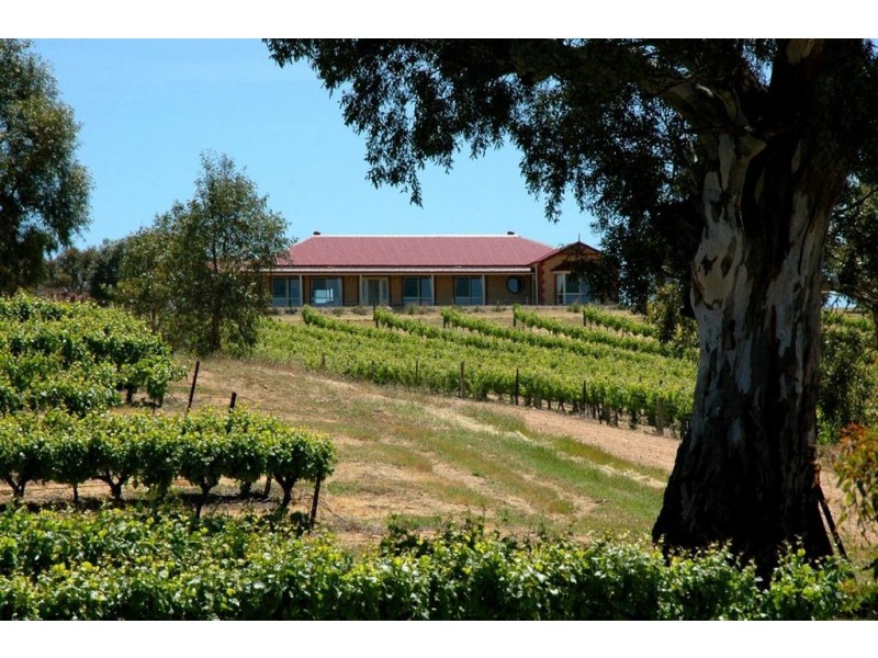 Lot 15 Rhine Park Road, Eden Valley SA 5235