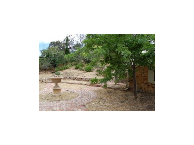 Lot 91 Seppeltsfield Road, Marananga SA 5355