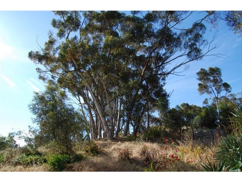 Lot 91 Seppeltsfield Road, Marananga SA 5355