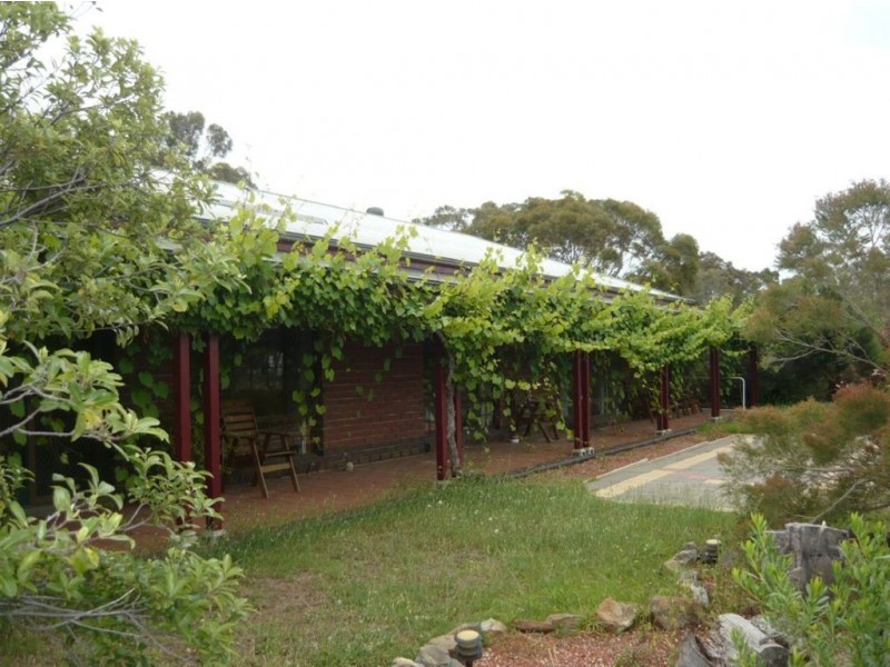 39 Rodda Drive, Angaston SA 5353