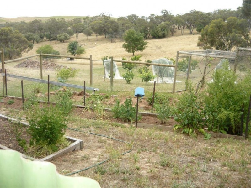 39 Rodda Drive, Angaston SA 5353