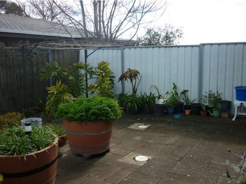 5 Madeira Street, Nuriootpa SA 5355