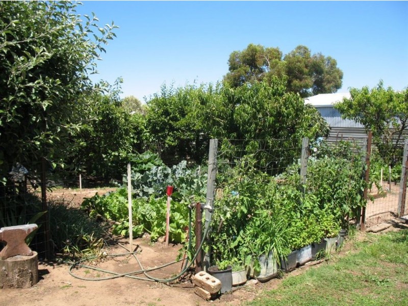 32 Para Road, Tanunda SA 5352