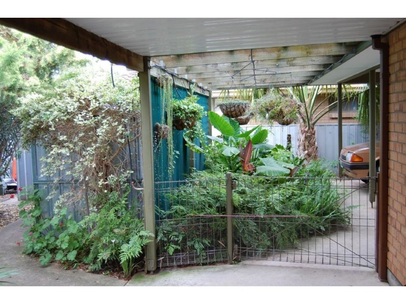 3 Helene Street, Nuriootpa SA 5355