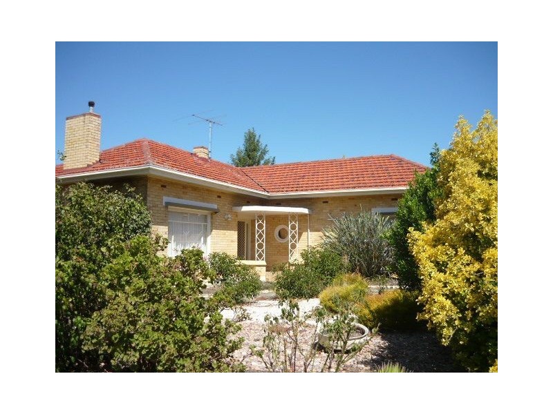 25 Old Kapunda Road, Nuriootpa SA 5355