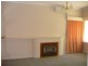 25 Old Kapunda Road, Nuriootpa SA 5355