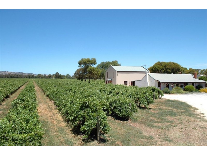 Lot 257 Angaston Road, Angaston SA 5353