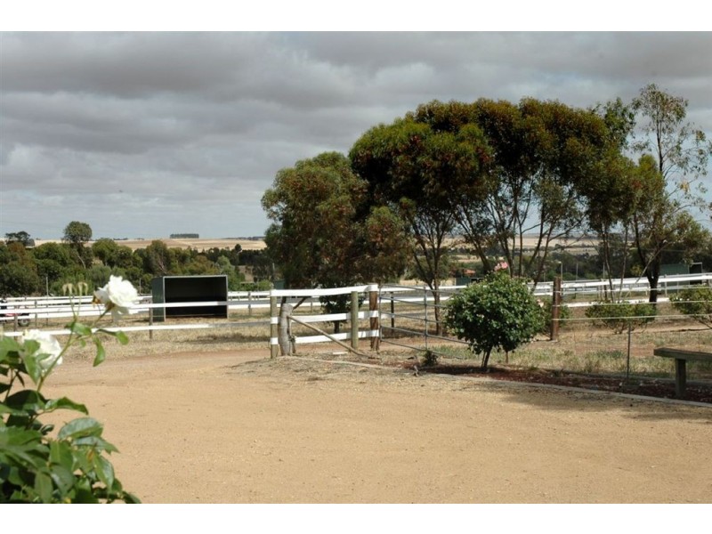 Lot 51 Rosedale Scenic Drive, Rosedale SA 5350