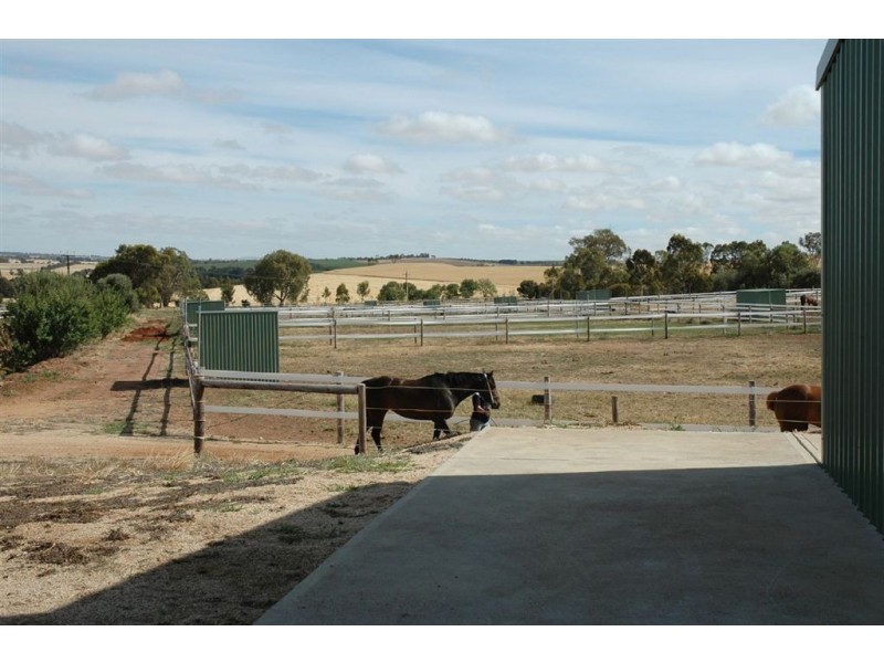 Lot 51 Rosedale Scenic Drive, Rosedale SA 5350