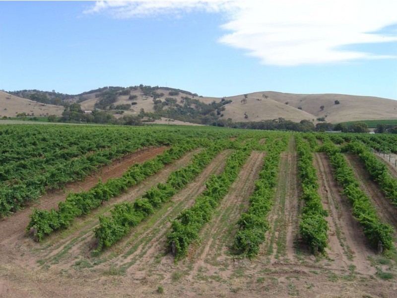 Lot 866 Bethany Road, Bethany SA 5352