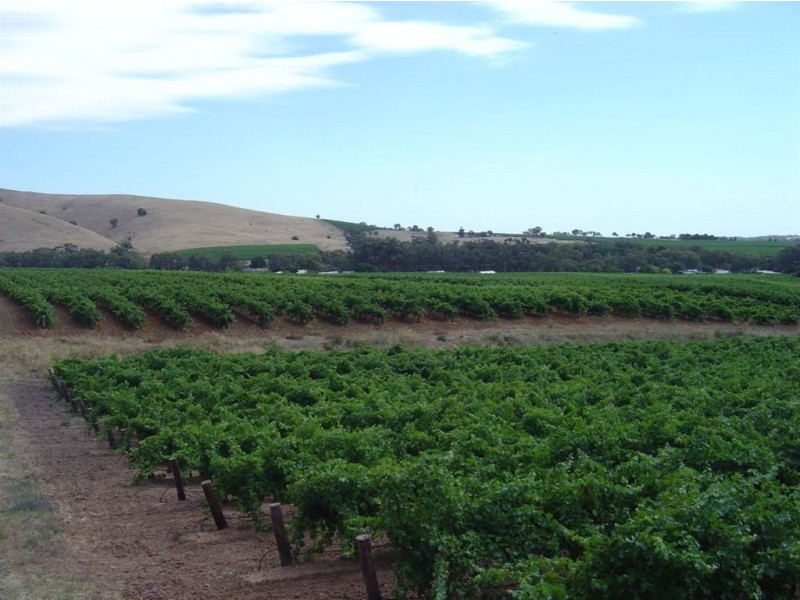 Lot 866 Bethany Road, Bethany SA 5352