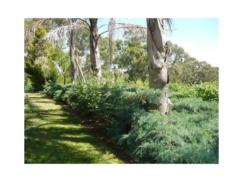 Lot 501 Menglers Hill Road, Angaston SA 5353