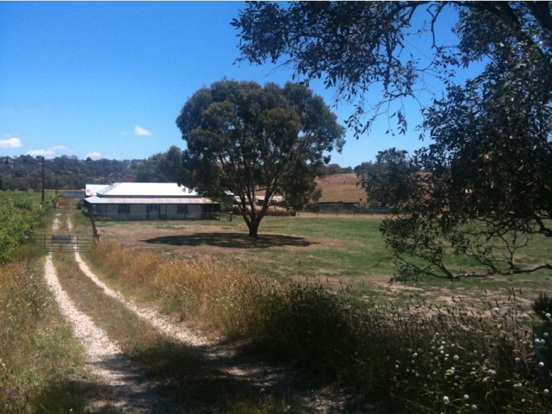 Lot 15 Eden Valley Road, Angaston SA 5353