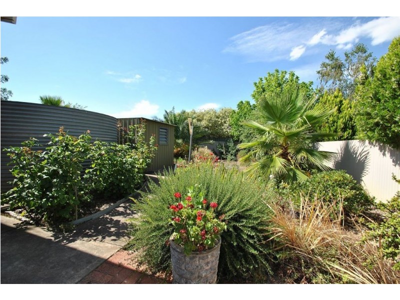 23A Julius Street, Tanunda SA 5352