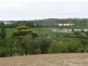 Lot 593 North Street, Angaston SA 5353