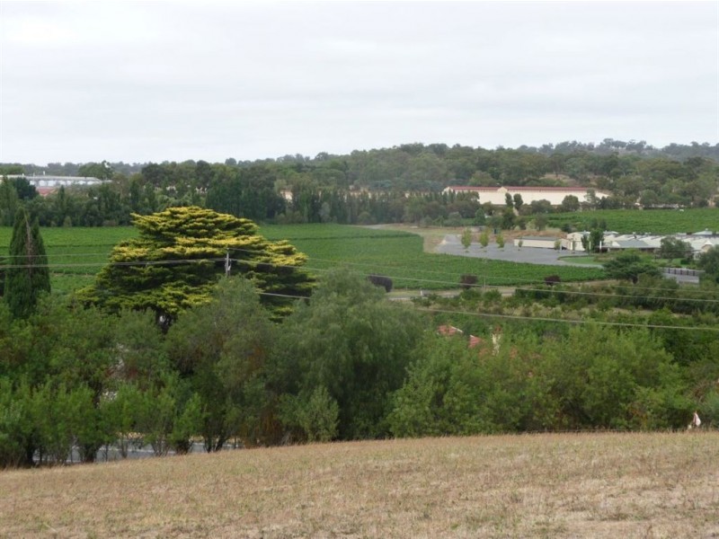 Lot 593 North Street, Angaston SA 5353