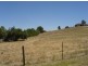 Lot 593 North Street, Angaston SA 5353