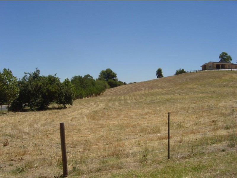 Lot 593 North Street, Angaston SA 5353