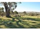 Lot 9 Sugarloaf Hill Road, Angaston SA 5353
