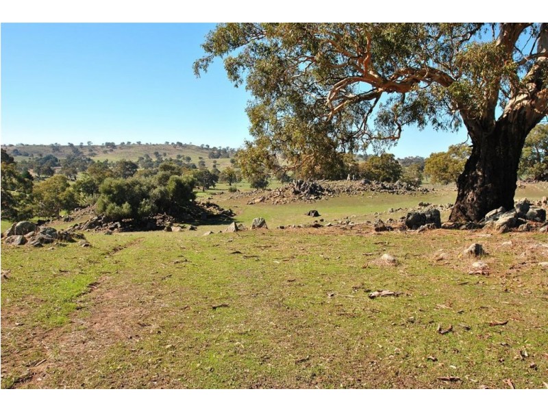 Lot 9 Sugarloaf Hill Road, Angaston SA 5353