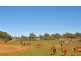 Lot 9 Sugarloaf Hill Road, Angaston SA 5353