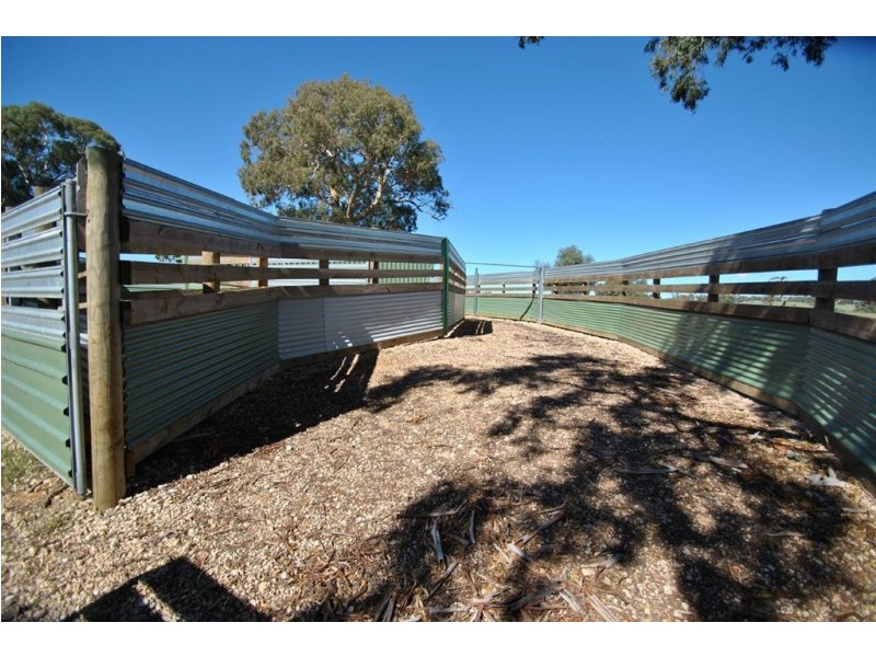 Lot 9 Sugarloaf Hill Road, Angaston SA 5353