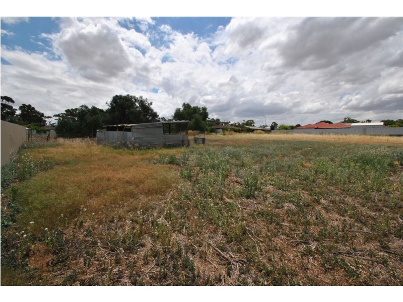 38 Jane Street, Willaston SA 5118