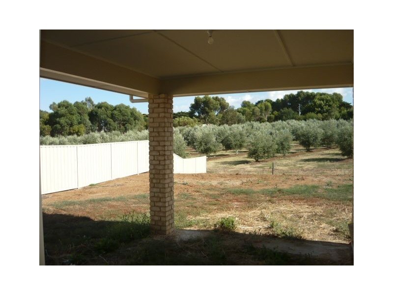 2A Valley Road, Angaston SA 5353