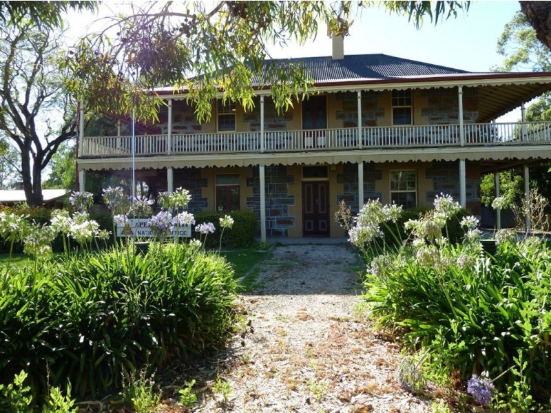 Lt 91 & 92 Murray Street, Nuriootpa SA 5355