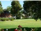 Lt 91 & 92 Murray Street, Nuriootpa SA 5355