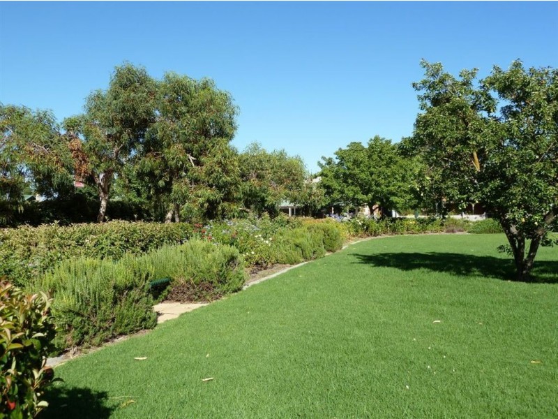 Lt 91 & 92 Murray Street, Nuriootpa SA 5355