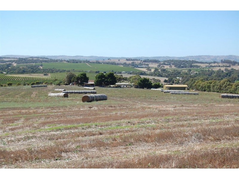 Lot 753 Branson Road, Greenock SA 5360