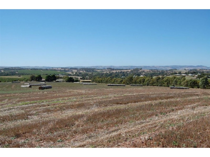 Lot 753 Branson Road, Greenock SA 5360