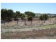 Lot 753 Branson Road, Greenock SA 5360