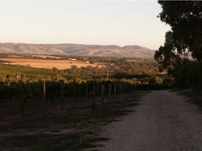 Lot 27 Roennfeldt Road, Marananga SA 5355