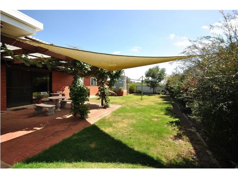 1 Kalingal Avenue, Nuriootpa SA 5355