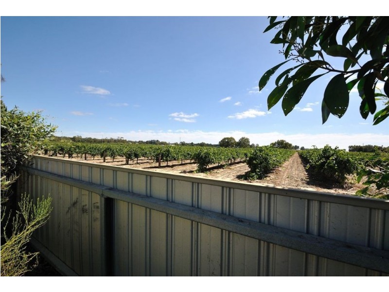 1 Kalingal Avenue, Nuriootpa SA 5355