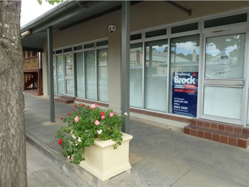 49 Murray Street, Nuriootpa SA 5355