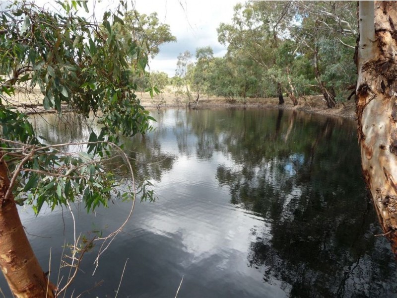 Sect 898 Menglers Hill Road, Angaston SA 5353