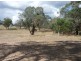Sect 898 Menglers Hill Road, Angaston SA 5353